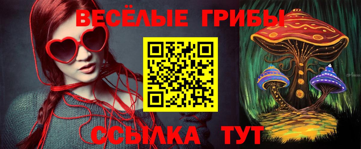Реж  Галлюциногенные грибы прущие грибы  Вход с VPN 